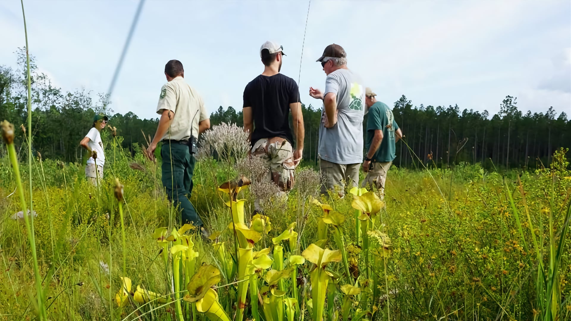 Conecuh National Forest