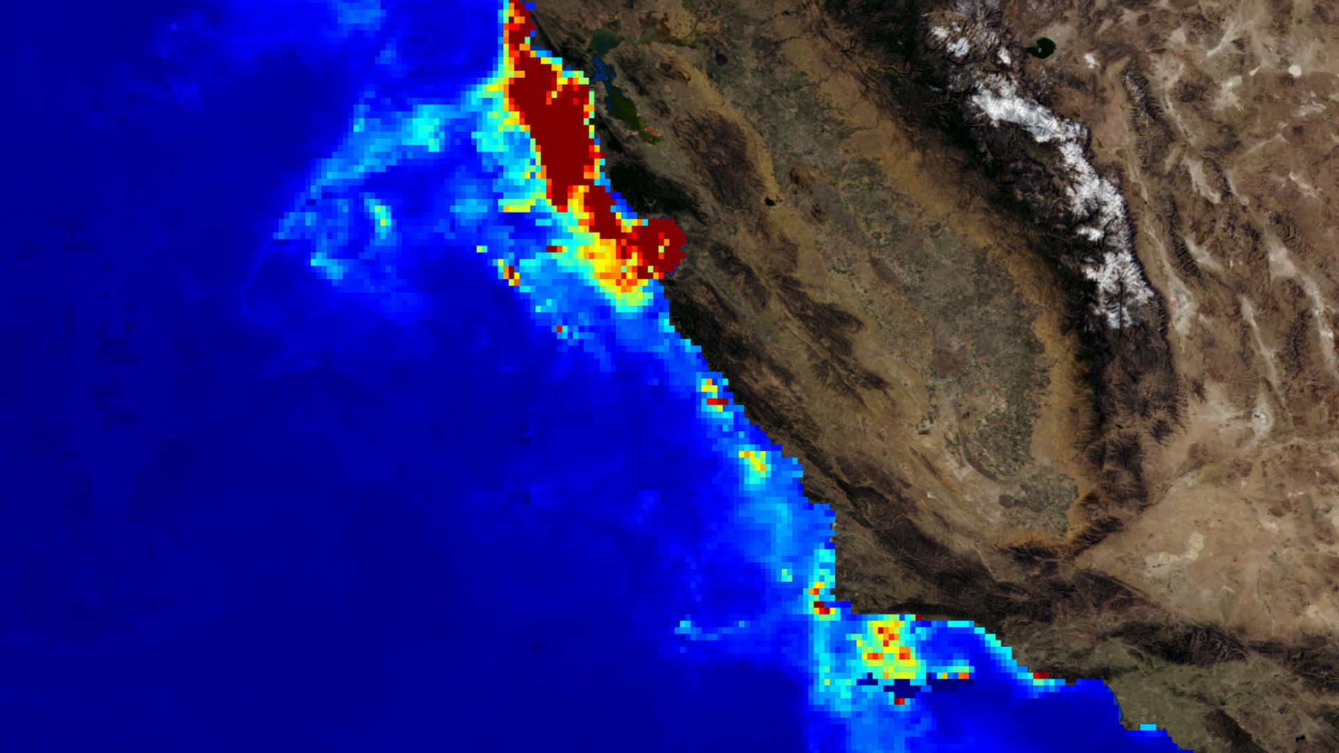 Composite Aqua Chlorophyll data