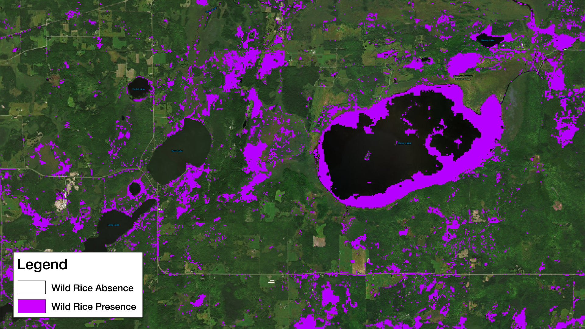 Minnesota & Texas Agriculture & Food Security Rice