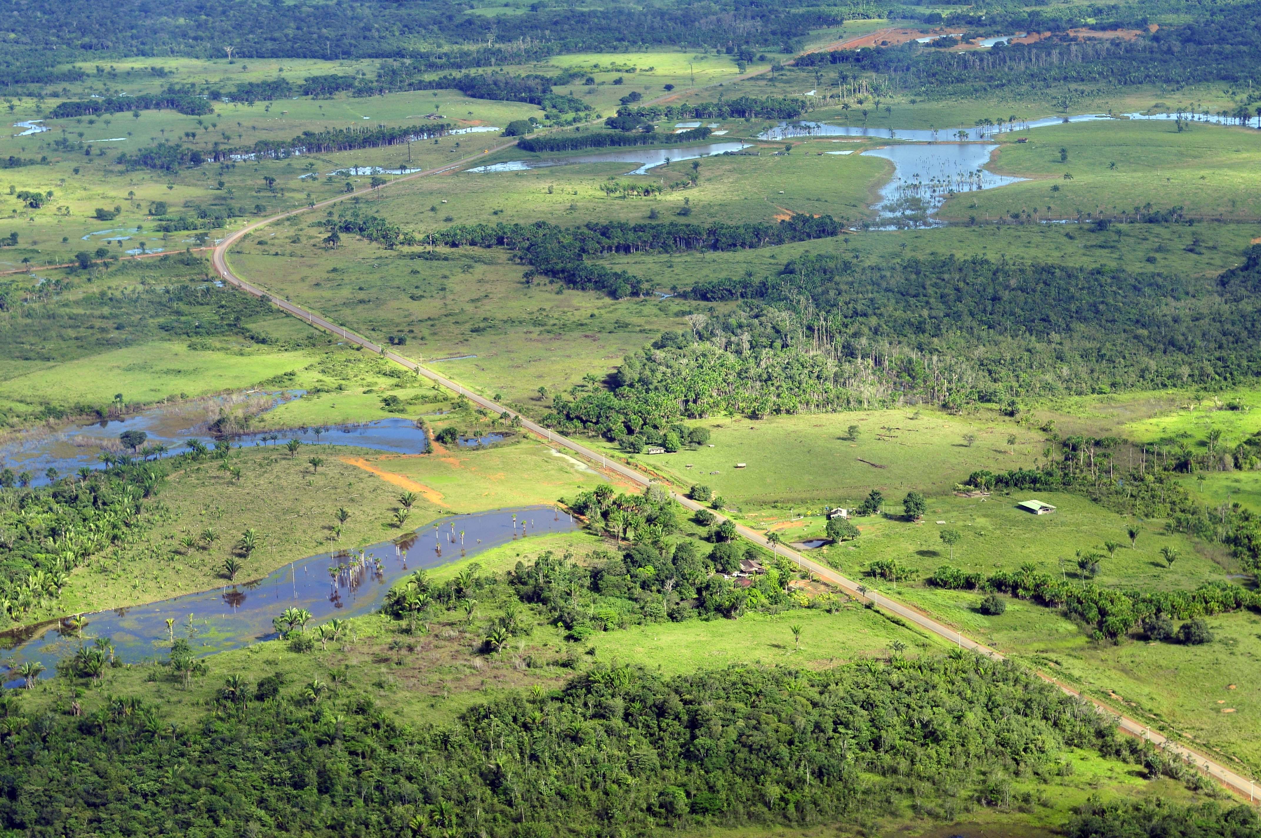 Deforestation and land use change has greatly impacted the Amazon rainforest.  This image shows a road cutting through what was once tropical forest.