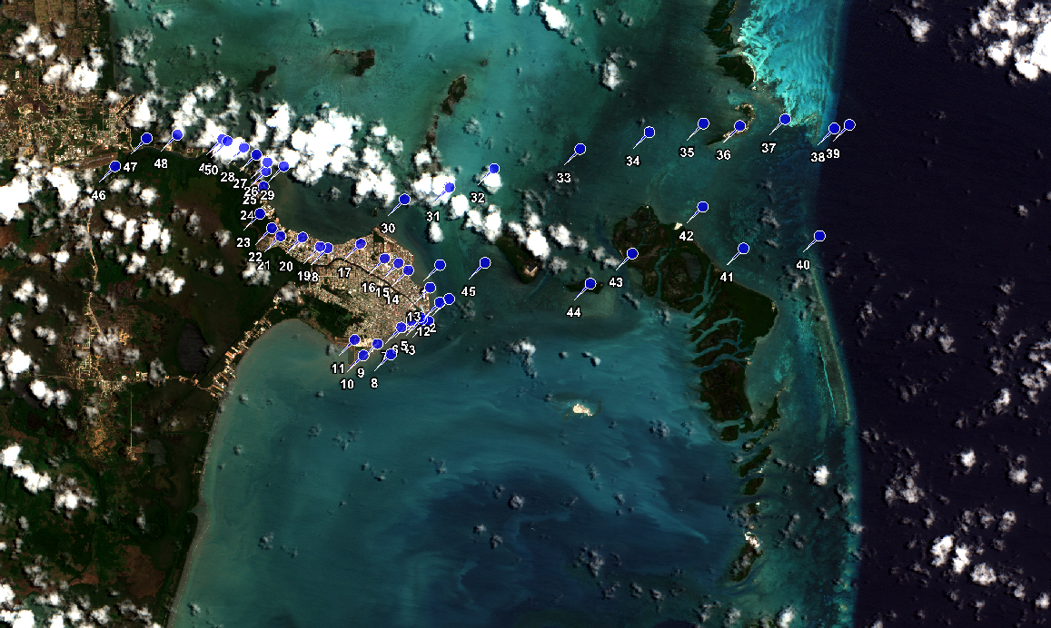 MacroAlgae Study In-Situ