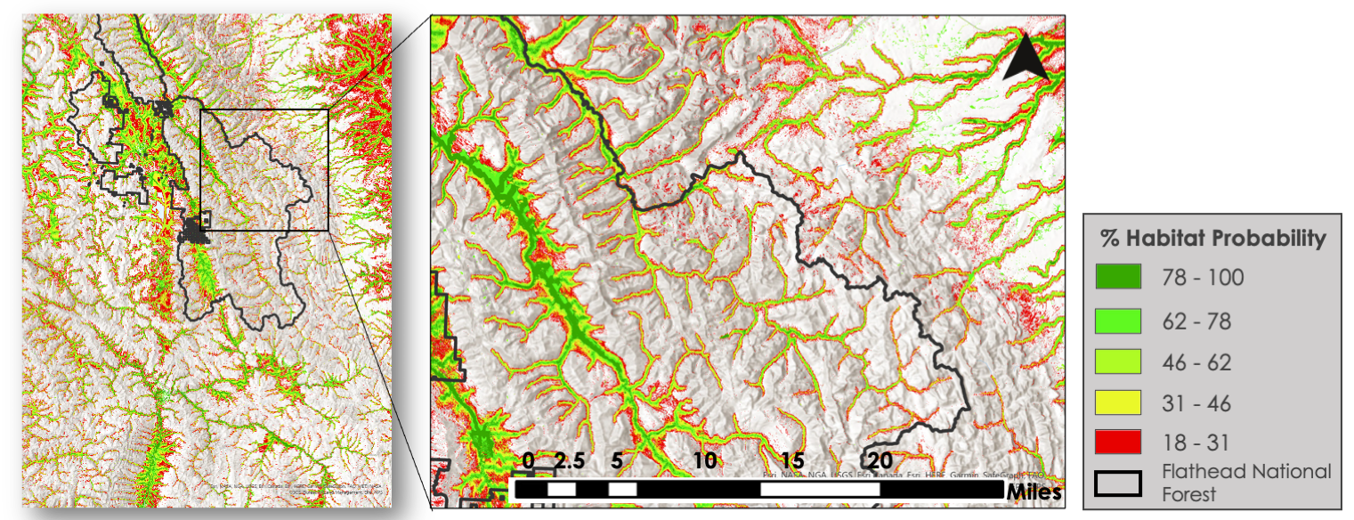 NASA DEVELOP’s 2021 otter and mink habitat suitability map. The map focuses on Flathead National Forest in Montana. Dark green represents a high percentage of suitable habitat and red represents a low percentage of suitable habitat.