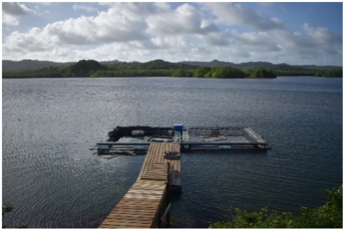 Palau_Aquafarm