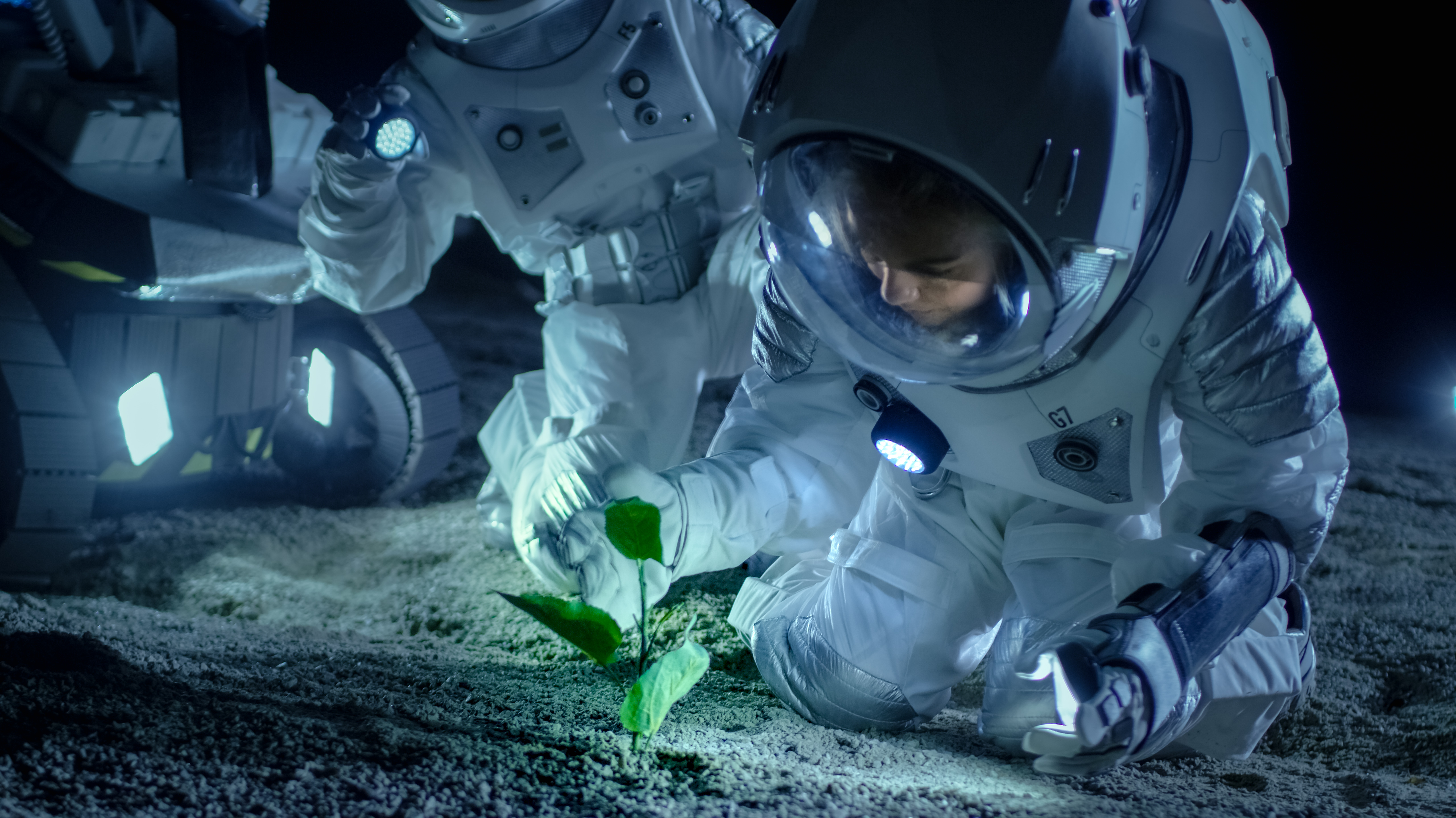 astronaut examining plant