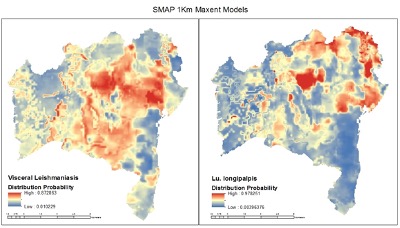 SMAP image