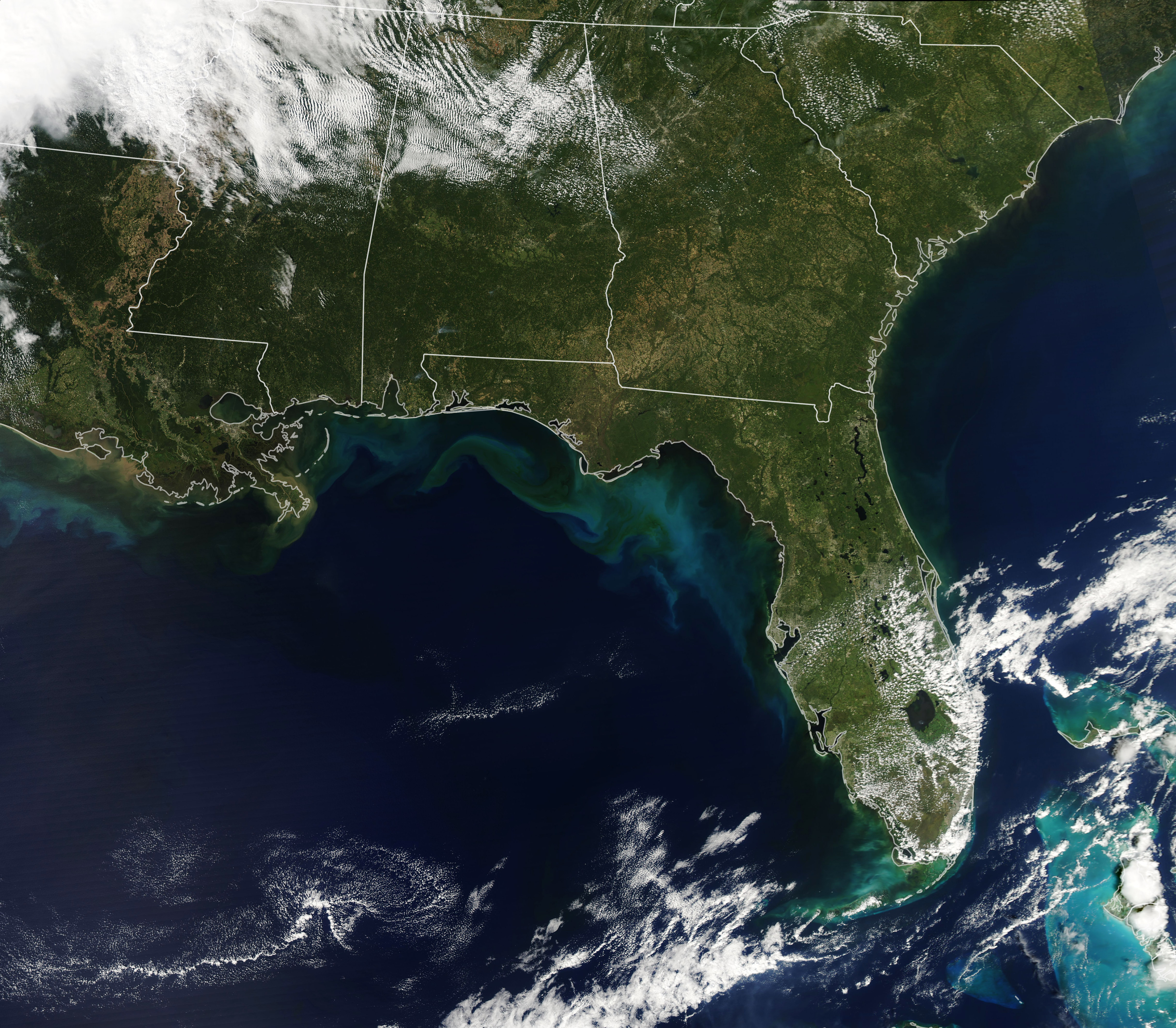 Image of seafloor sediment and river outflows