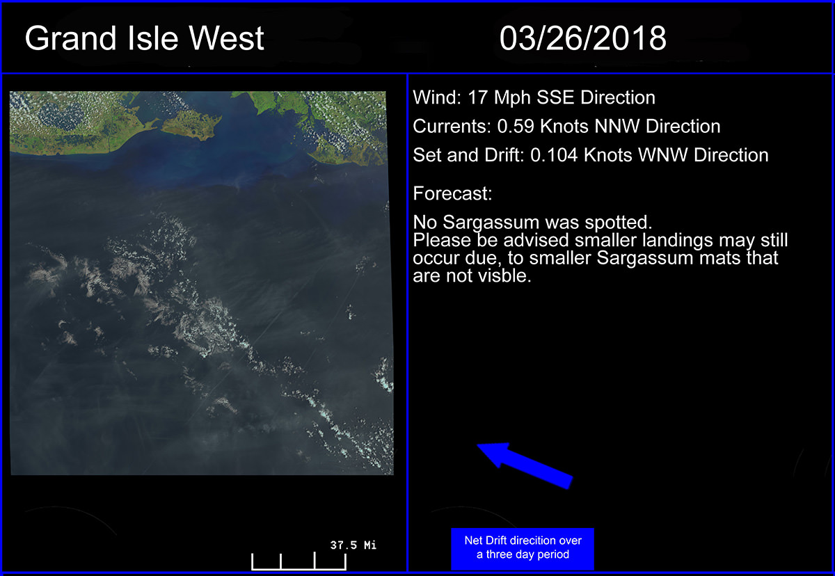 An example of a Sargassum forecast for coastal Louisiana. 