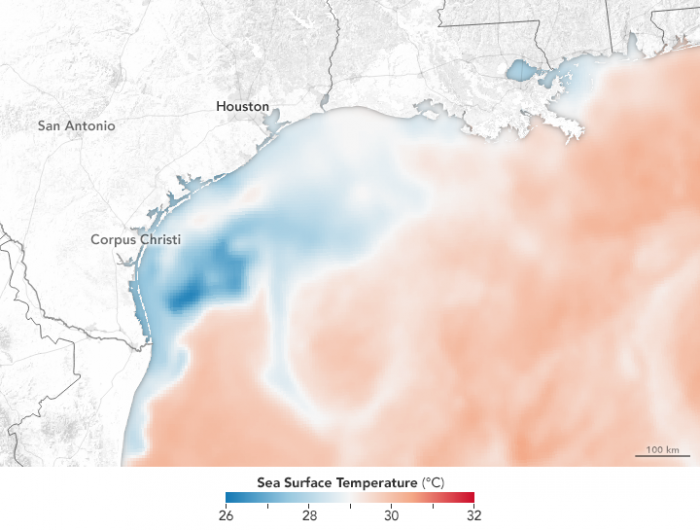 Image of sea surface temperature in the Wake of Hurricane Harvey