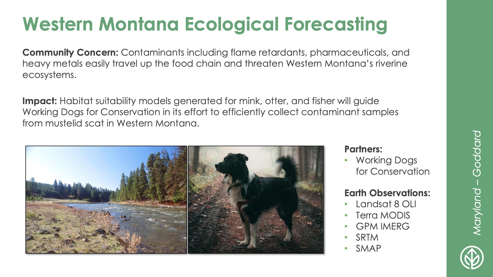 Slide title: Western Montana Ecological Forecasting DEVELOP Node: Maryland - Goddard Community Concern: Contaminants including flame retardants, pharmaceuticals, and heavy metals easily travel up the food chain and threaten Western Montana’s riverine ecosystems.  Impact: Habitat suitability models generated for mink, otter, and fisher will guide Working Dogs for Conservation in its effort to efficiently collect contaminant samples from mustelid scat in Western Montana.  Partners: Working Dogs for Conservation  Earth Observations: Landsat 8 OLI, Terra MODIS. GPM IMERG. SRTM, SMAP