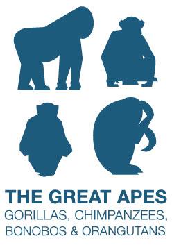 The Great Apes