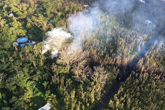 Image of forest burning