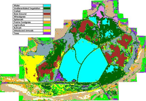 A 2011 map of 11 different types of Cheyenne Bottoms landcover.