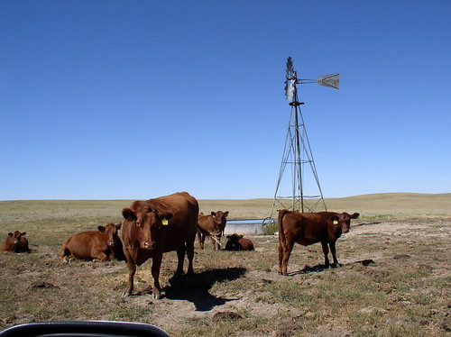 GRACE Follow-On's measurements of changes in water stored underground will be used in producing the U.S. Drought Monitor's weekly maps