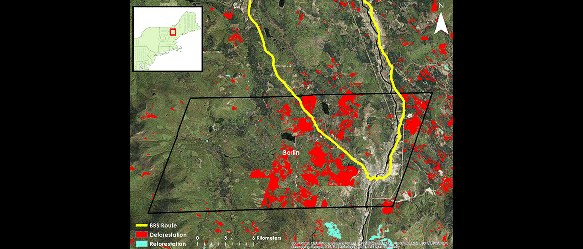 Image of reforestation and deforestation areas around Berlin, N.H.