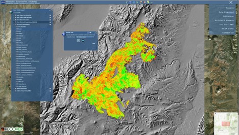 Wildfire map