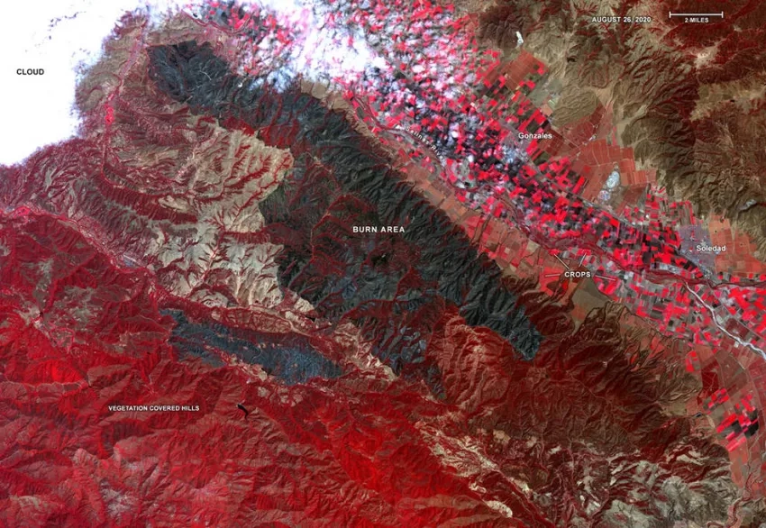 Captured by the ASTER instrument aboard NASA's Terra satellite, this false-color map shows the burn area of the River and Carmel fires in Monterey County, California. Vegetation (including crops) is shown in red; the burn area (dark blue/gray) is in the center of the image.