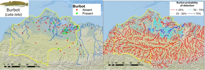 scientific graphic showing possible fish habitat