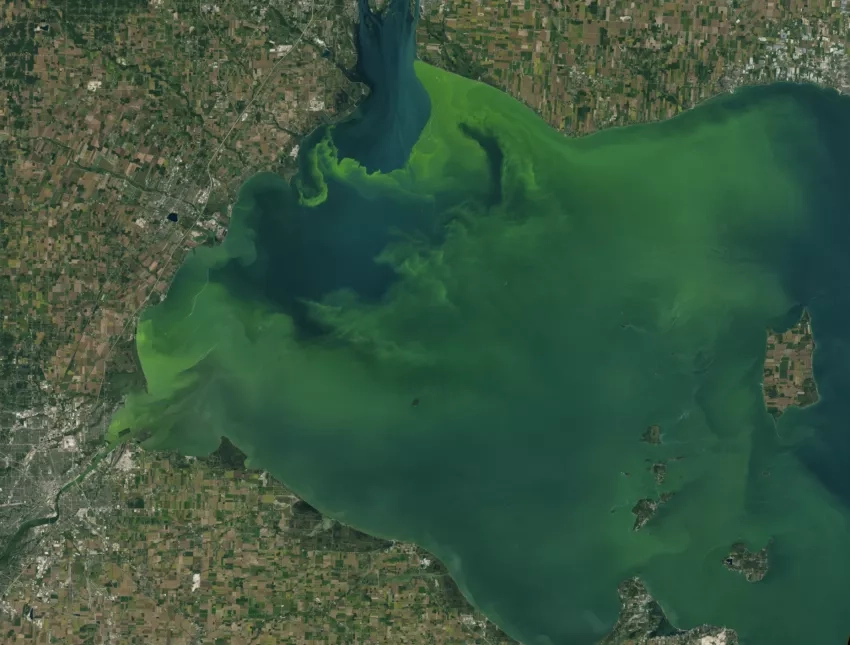 An algal bloom makes the water in Lake Erie appear to have swirls of green.