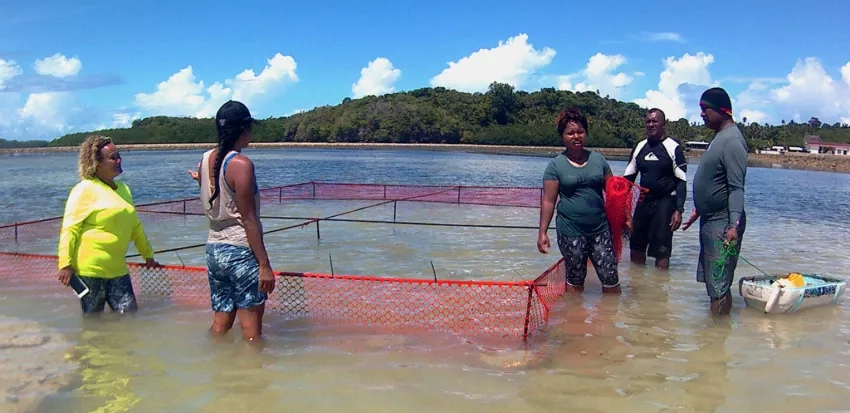 People standing in water in the shallow Pacific ocean near orange nets