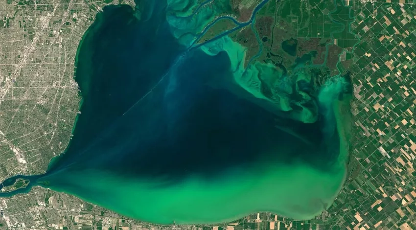 satellite image of algae bloom