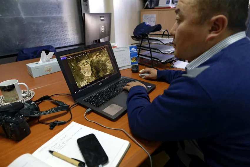 photo of person looking at computer with photo of snow leopard on it