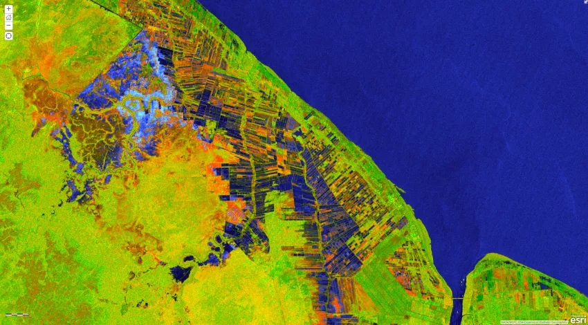 RGB composite image of areas near Mahaicony, Guyana derived from ESA Copernicus Sentinel-1 satellite data collected between May 14 and June 1, 2021. Unobstructed surface water appears in blue and vegetated areas in shades of green. Orange hues may indicate inundated vegetation. Credits: NASA, Alaska Satellite Facility. Copyright contains modified Copernicus Sentinel data 2021, processed by ESA