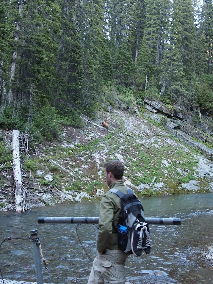 Sometimes fieldwork means steering clear of the local bears. Credits: Amy Myrbo 