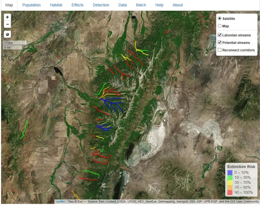 The Lahontan Cutthroat Trout Population Simulator lets users project the fish's extinction risk in streams running through the Ruby Mountains of Nevada.