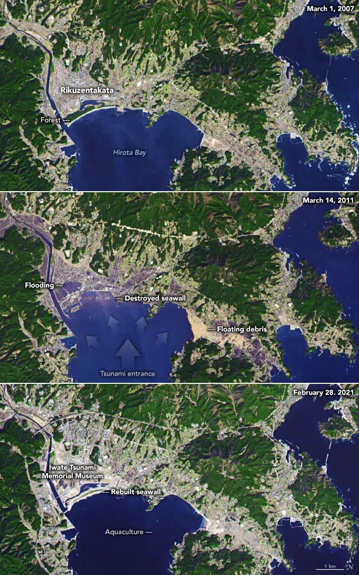 These images were acquired in 2007, 2011, and 2021 by the Advanced Spaceborne Thermal Emission and Reflection Radiometer (ASTER), a joint Japanese and U.S. instrument on NASA’s Terra satellite. The images combine infrared, red, and green wavelengths of light to make false-color images that distinguish between water, vegetation, and urban infrastructure. In the 2011 image, most of the areas in purple-blue were flooded or denuded. Credits: NASA Earth Observatory