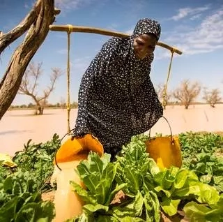 Nigerian farmer