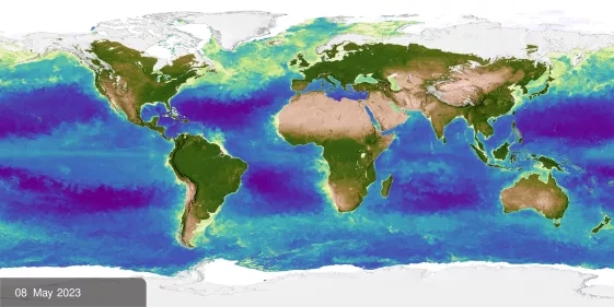 Map of Earth showing plant growth. In the ocean, dark blue represents areas where there is little life due to lack of nutrients, where yellow and orange represent nutrient-rich areas. On land, green represents areas of abundant plant life, while tan and white represent areas where plant life is sparse or non-existent.