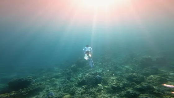 An underwater photo of Ved wearing fins on his feet and swimming away from the camera. From the top light strikes down in rays and at the bottom the seafloor appears rocky and dark.