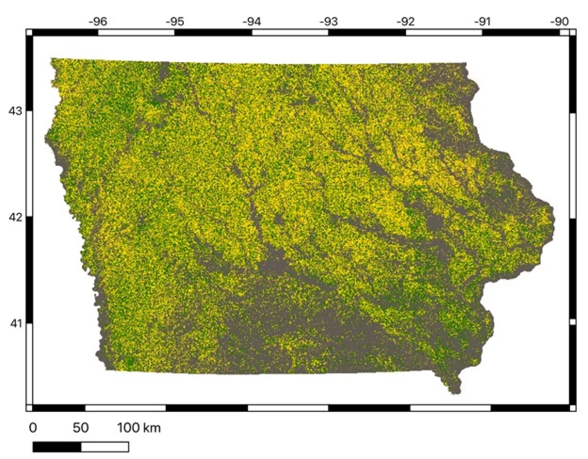 machine-learning image of corn, soybeans and other crops