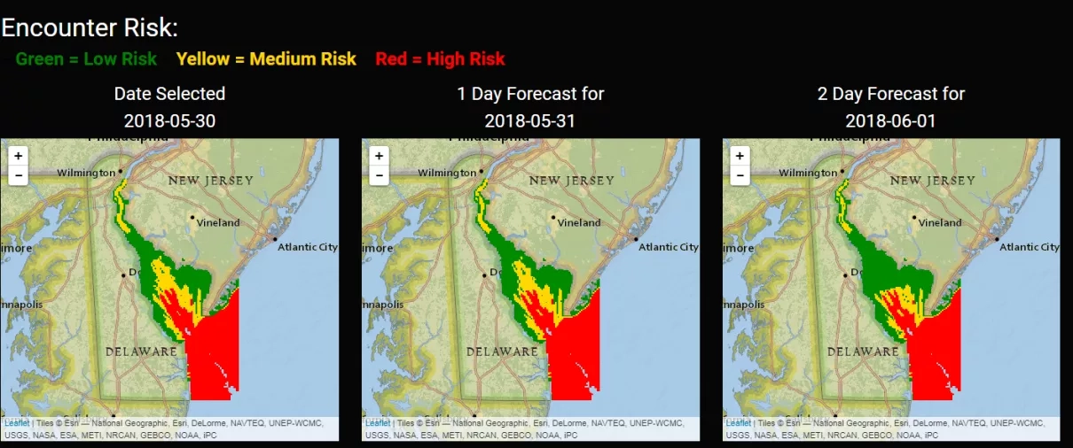 A two-day forecast for the risk of encountering Atlantic sturgeon in the Delaware Bay on May 31, 2018 and June 1, 2018.