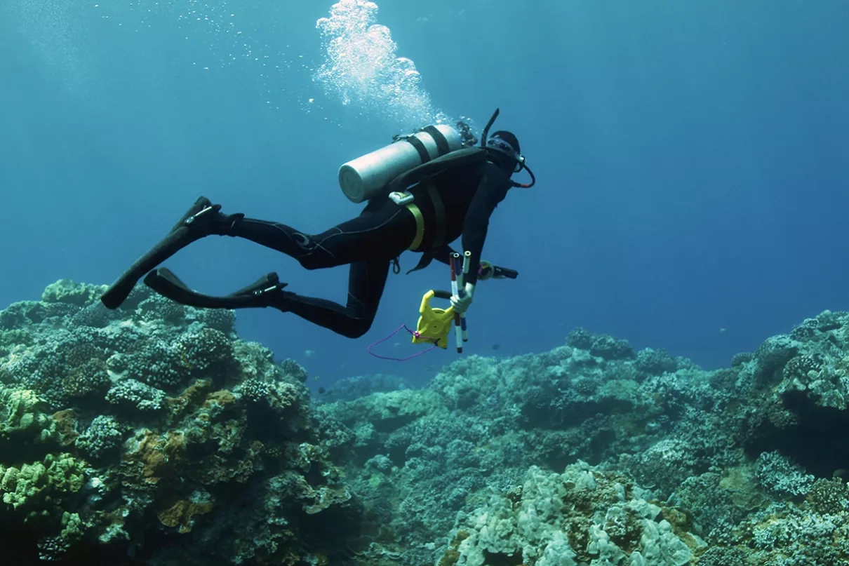 Steve Dollar of the University of Hawaii heads to a benthic validation site on Maui.