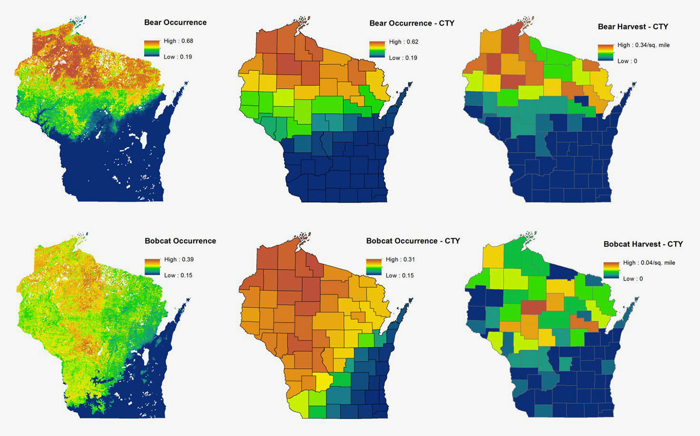 Sample of predicted vs. actual bear and bobcat occurrence maps. 