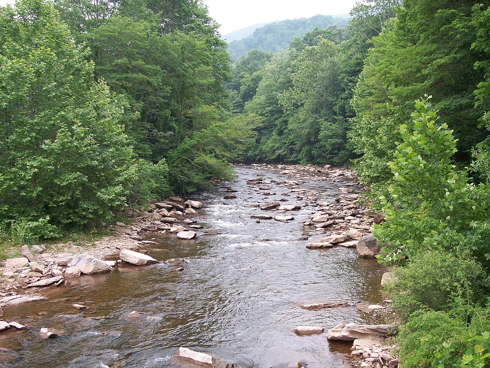 Photo of the Cheat River