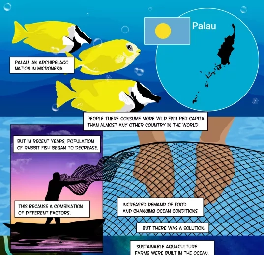 11743_A-brief-History-of-Palau-Fish_Gustavo-Soria.jpg