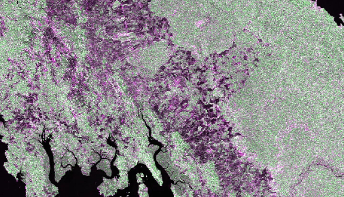 Sar Landcover Header