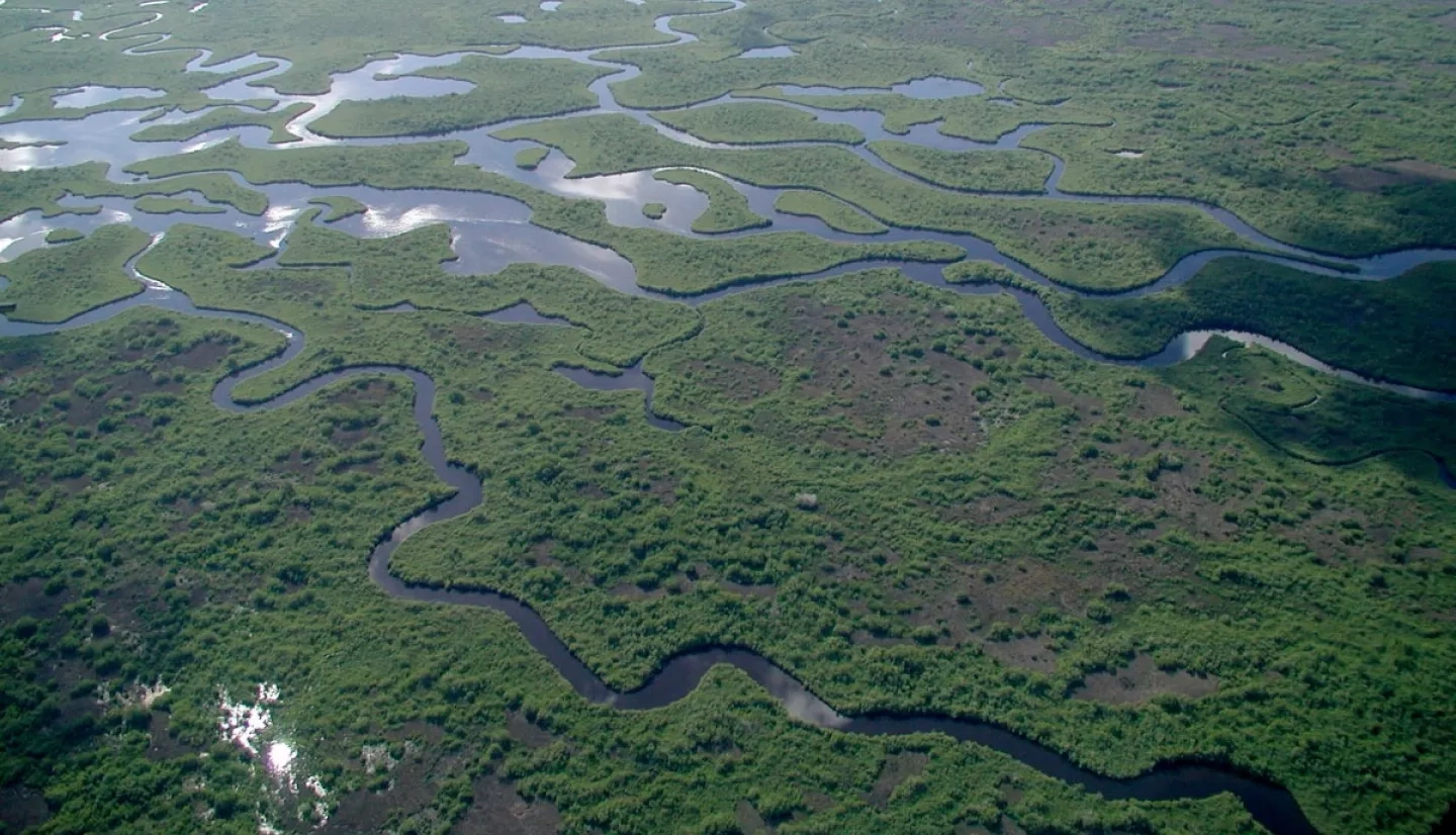 Everglades