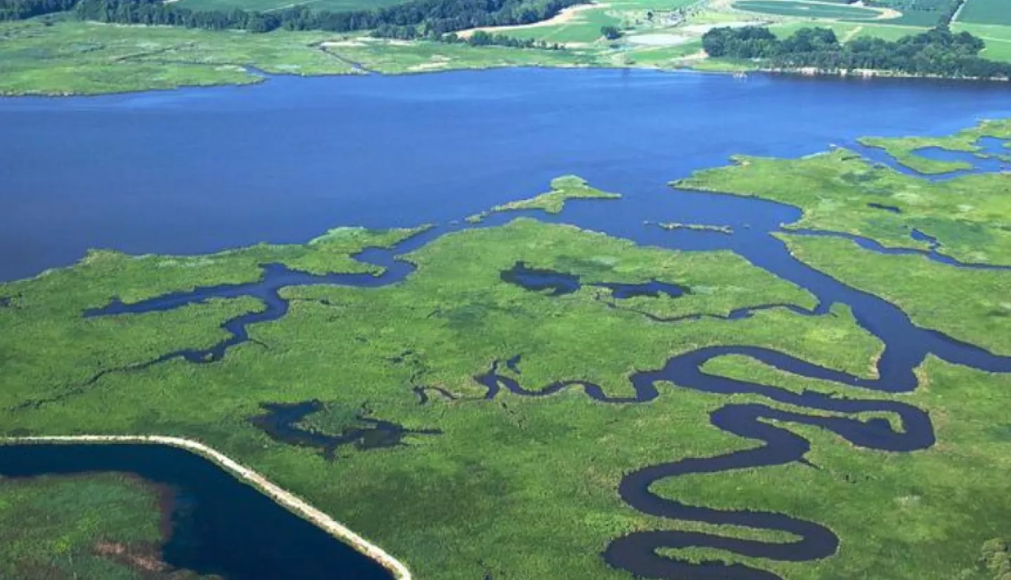 Chesapeake Bay