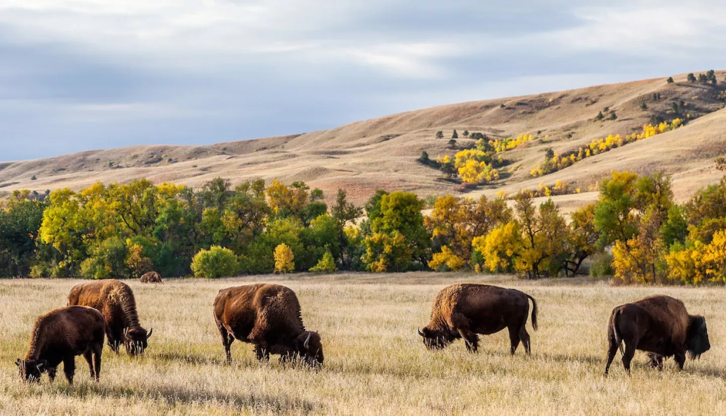 Great Plains