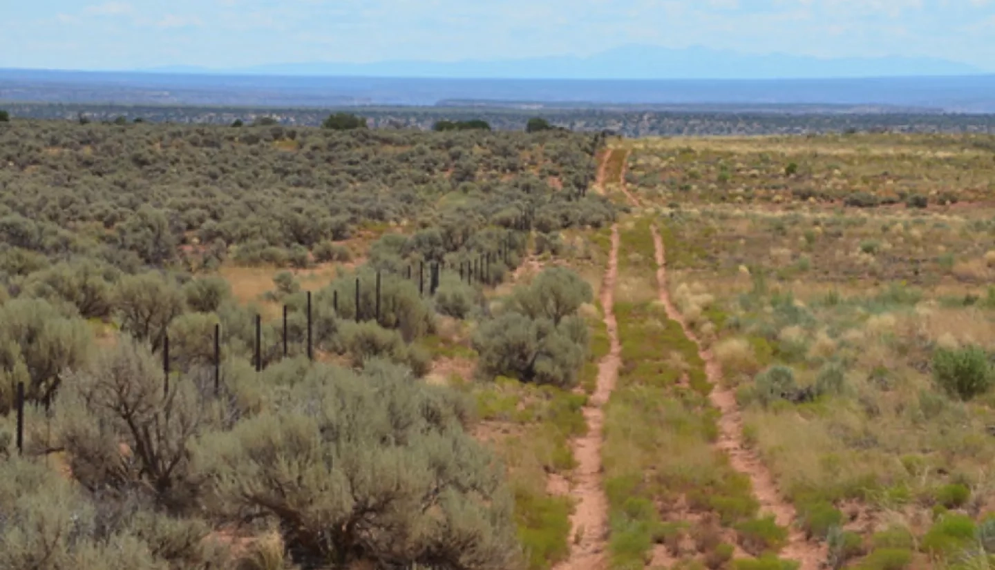 Navajo Nation