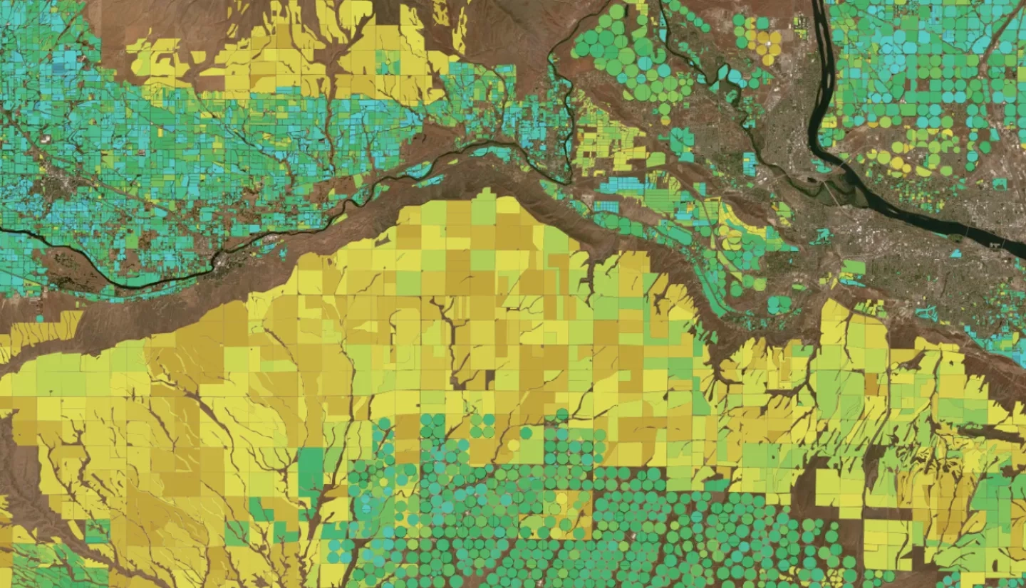 Image of crops seen from space