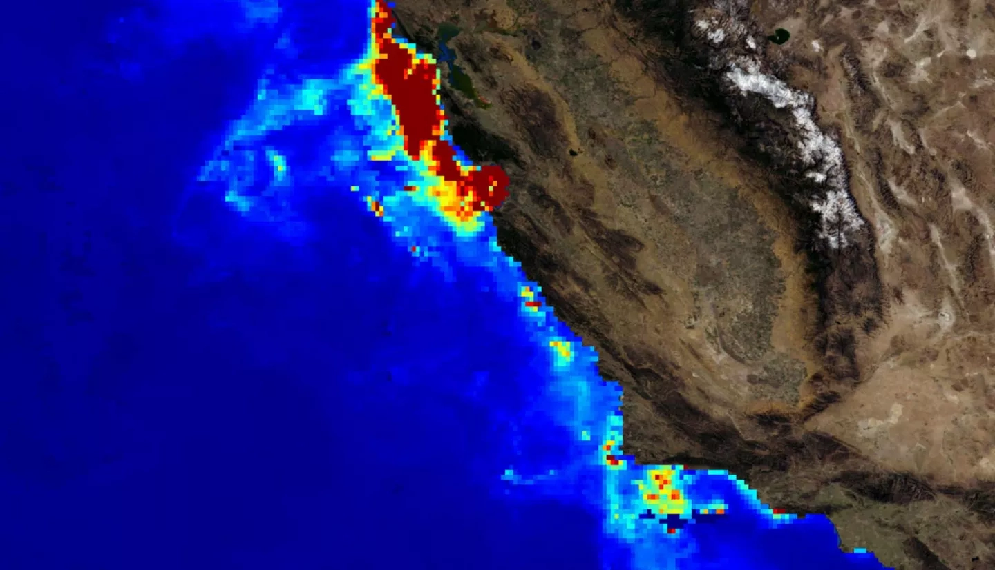 Composite Aqua Chlorophyll data