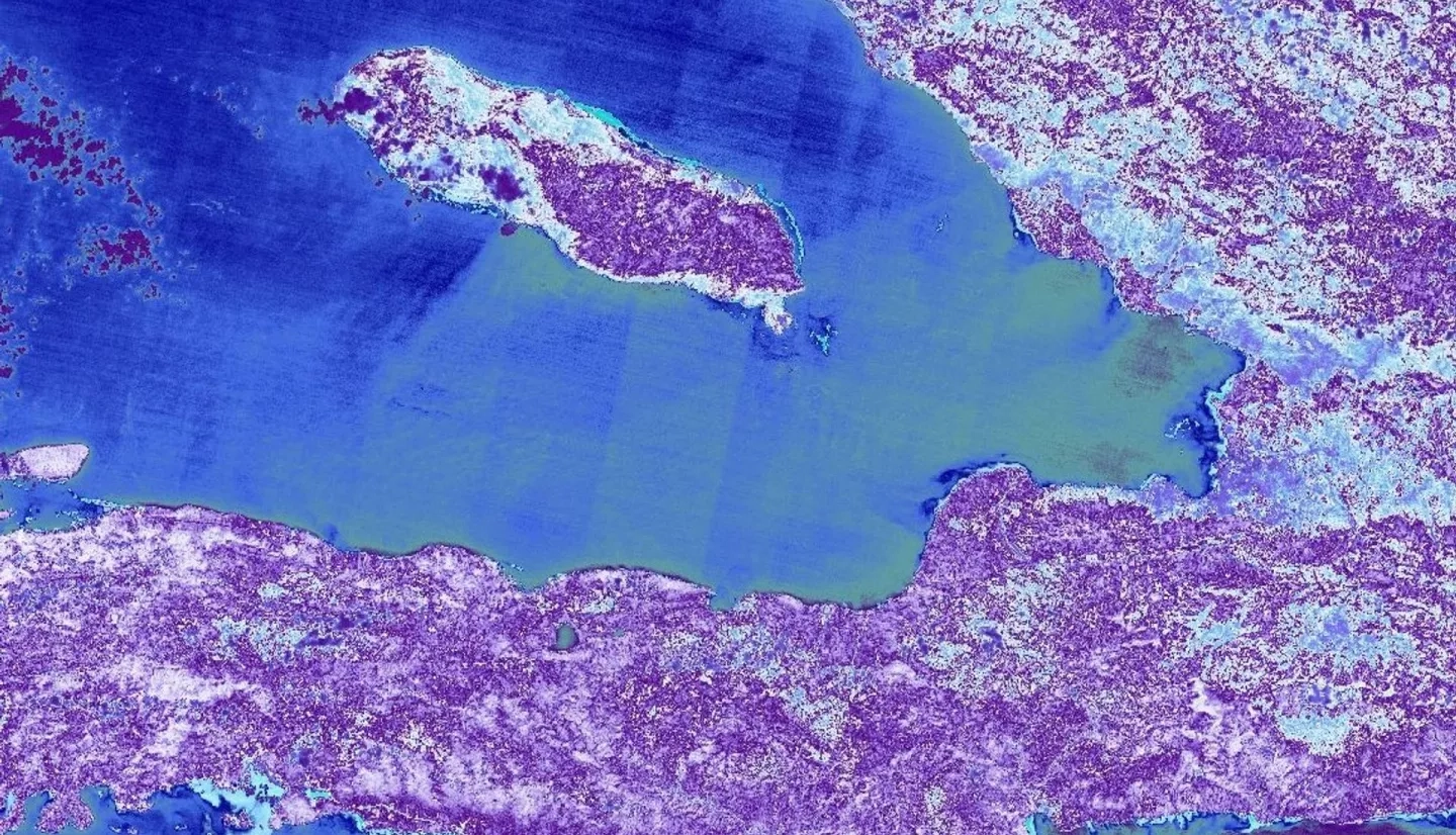 NDVI-processed imagery using 2021 Landsat 8 OLI data. The southwestern portion of Haiti, including the capital city of Port-au-Prince, is displayed. The water detected appears blue due to the lack of vegetation presence. Lighter shades of blue indicate moderate vegetation and shades of purple indicate substantial levels of vegetation.​ Through the visualization of vegetation presence, prior reforestation efforts can be evaluated, and future decisions can be made.​