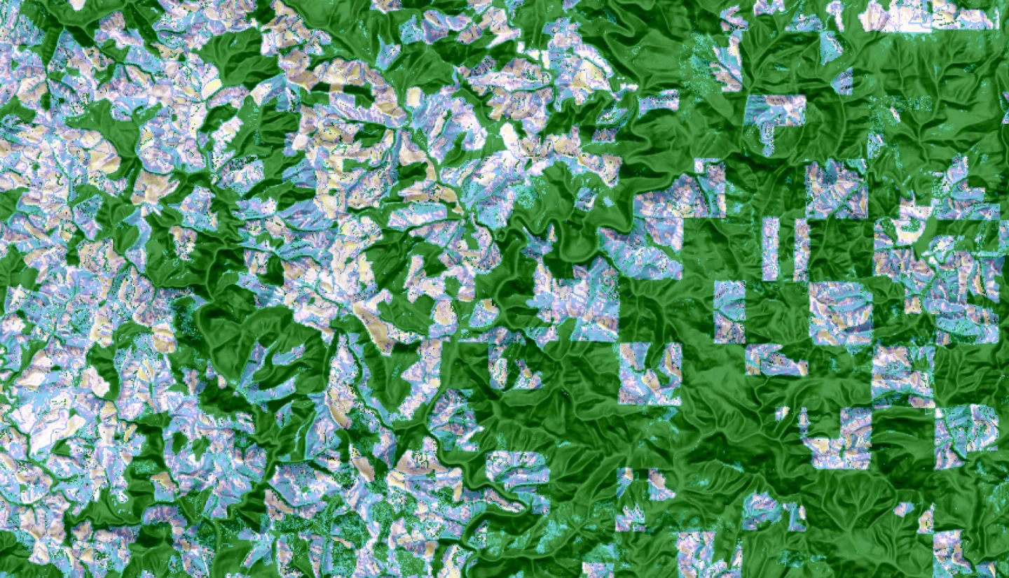 Magnitude of largest model break in Continuous Change Detection Algorithm harmonic regression model, indicative of clearcut logging in the Oregon coast range forests. Imagery from Landsat 4-5 TM, Landsat 7 ETM+, and Landsat 8-9 OLI from across the study period 2000-2021 over standard hill shade. Patches of blue show clear cut areas with lavender then yellow indicating higher magnitude. Green areas represent forests untouched during the study period. 