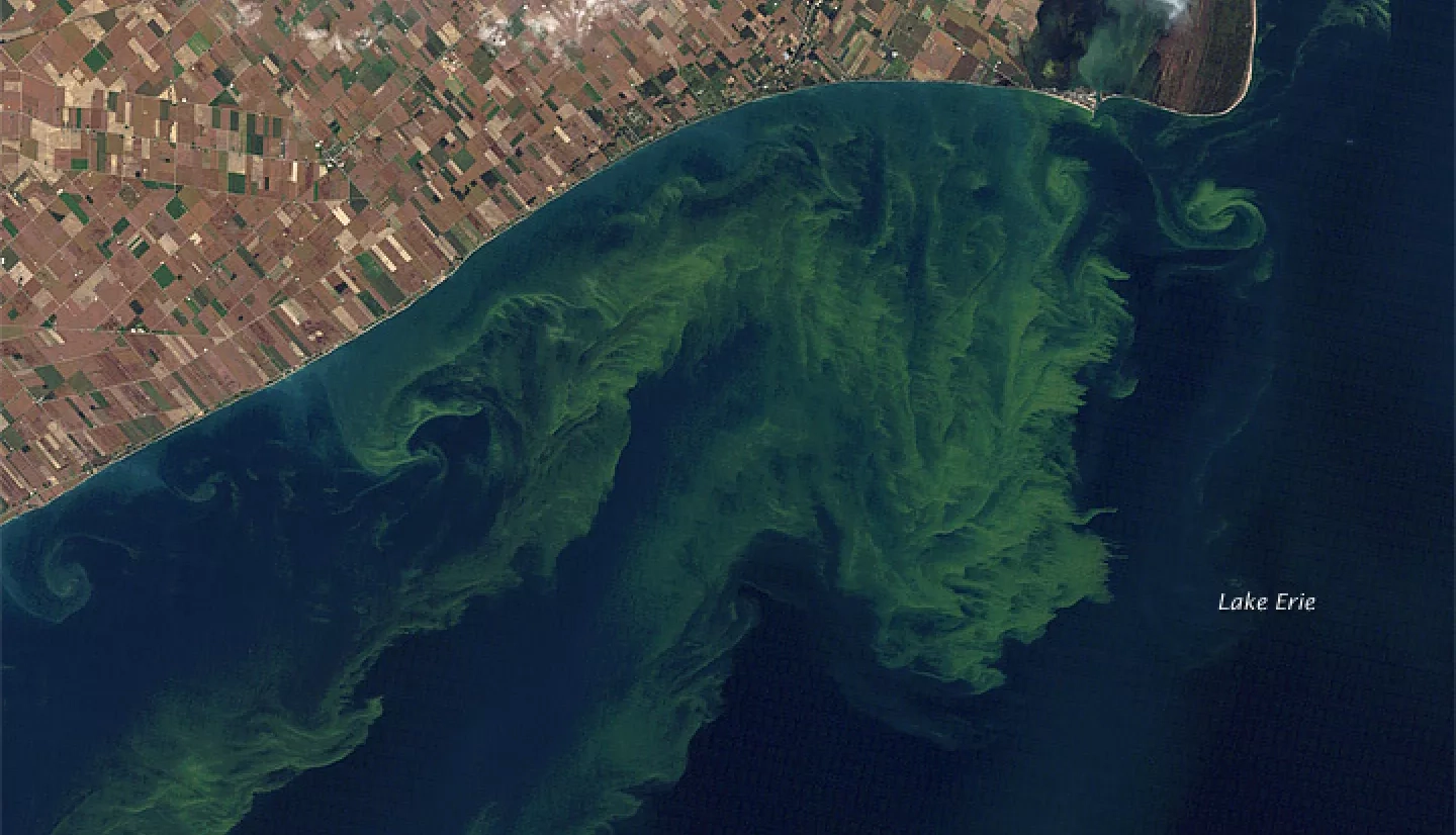 satellite image of an algae bloom