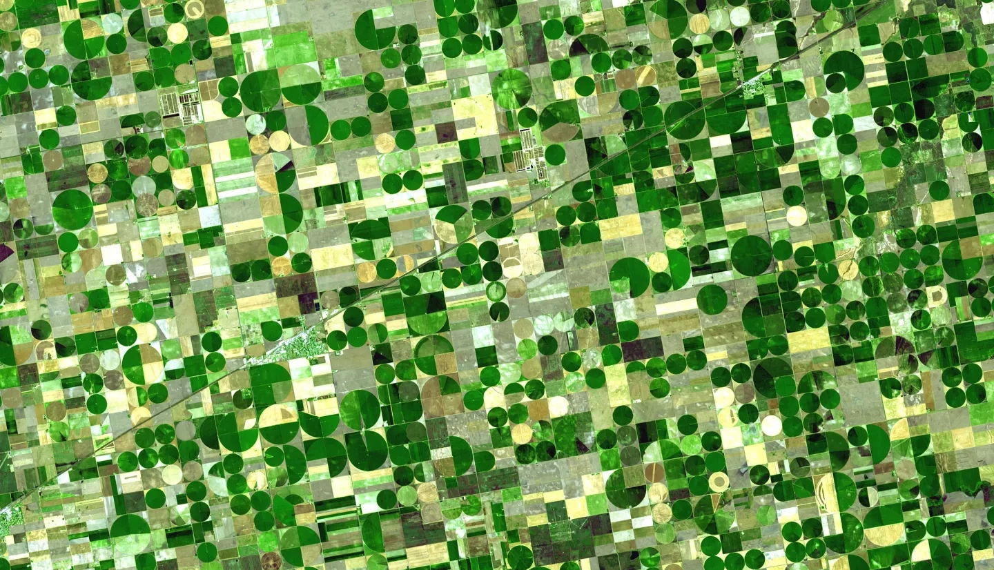 satellite view of farmland plots in shades of green