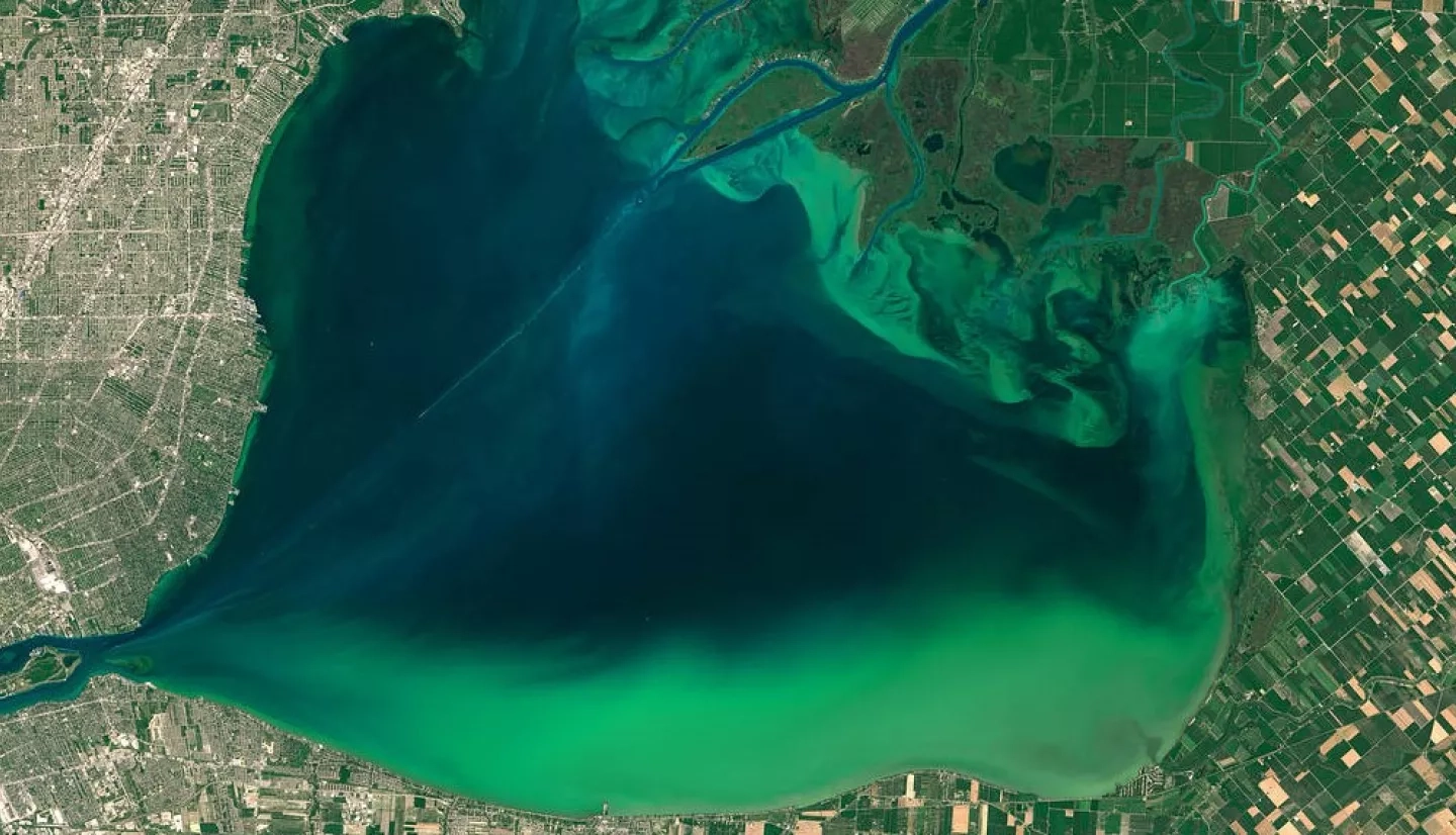 satellite image of algae bloom